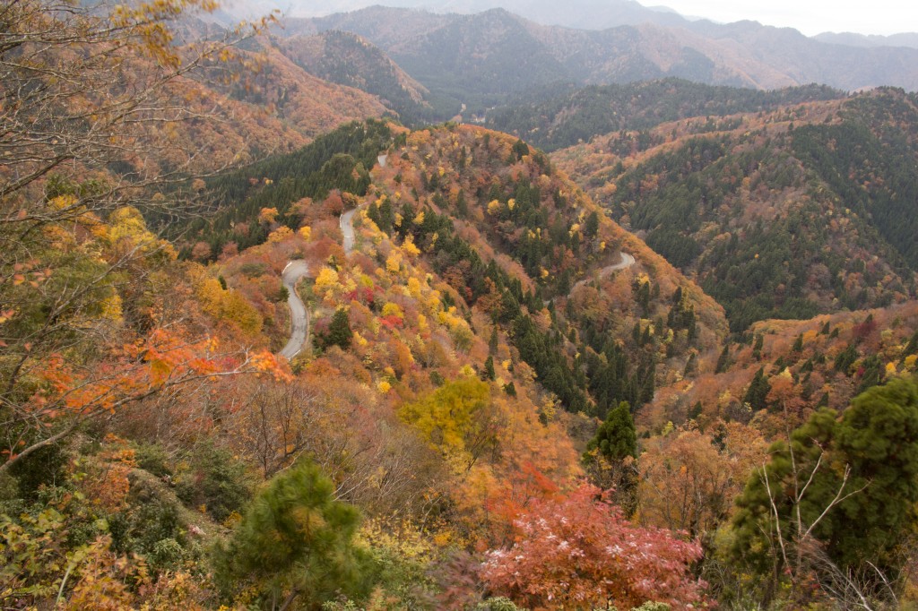 おにゅう峠の紅葉1