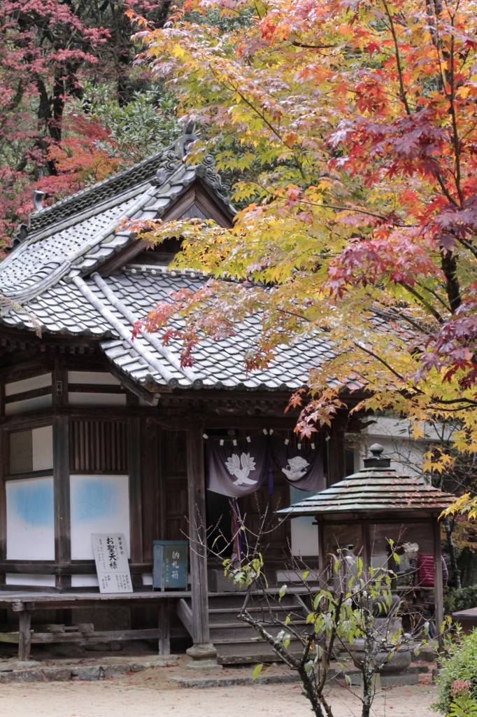 西山興隆寺の紅葉1