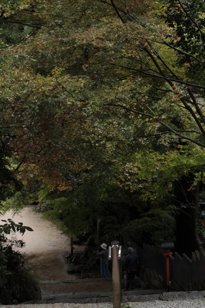 西山興隆寺の紅葉4