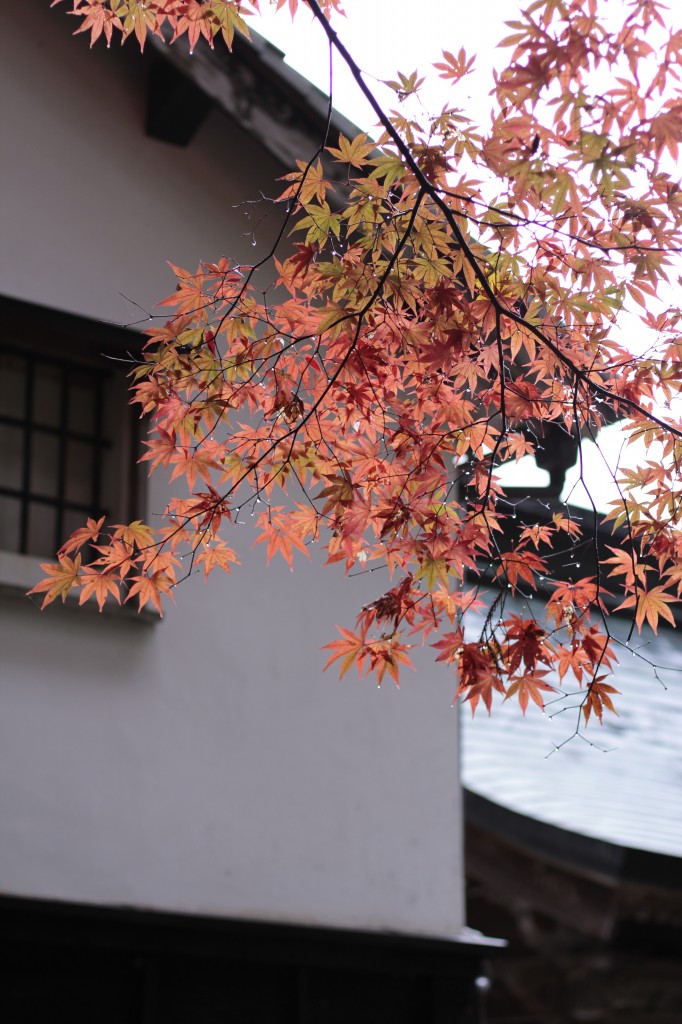 西山興隆寺の紅葉3