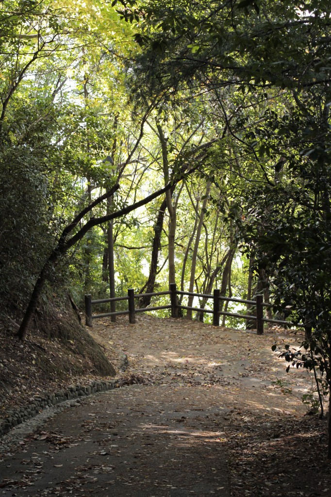 道後公園 散策道1