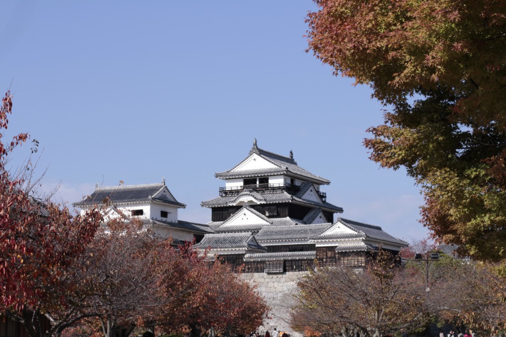 松山城と紅葉