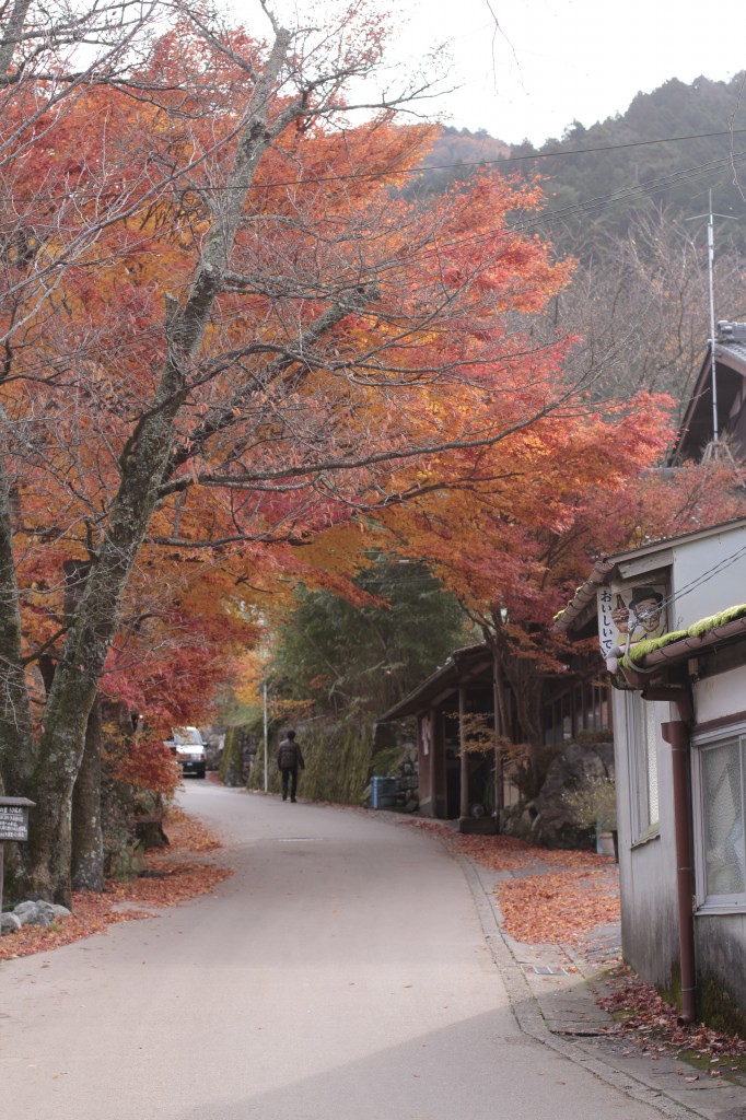 三千院の紅葉20