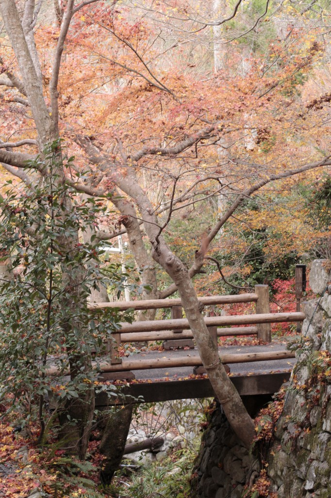 三千院の紅葉11