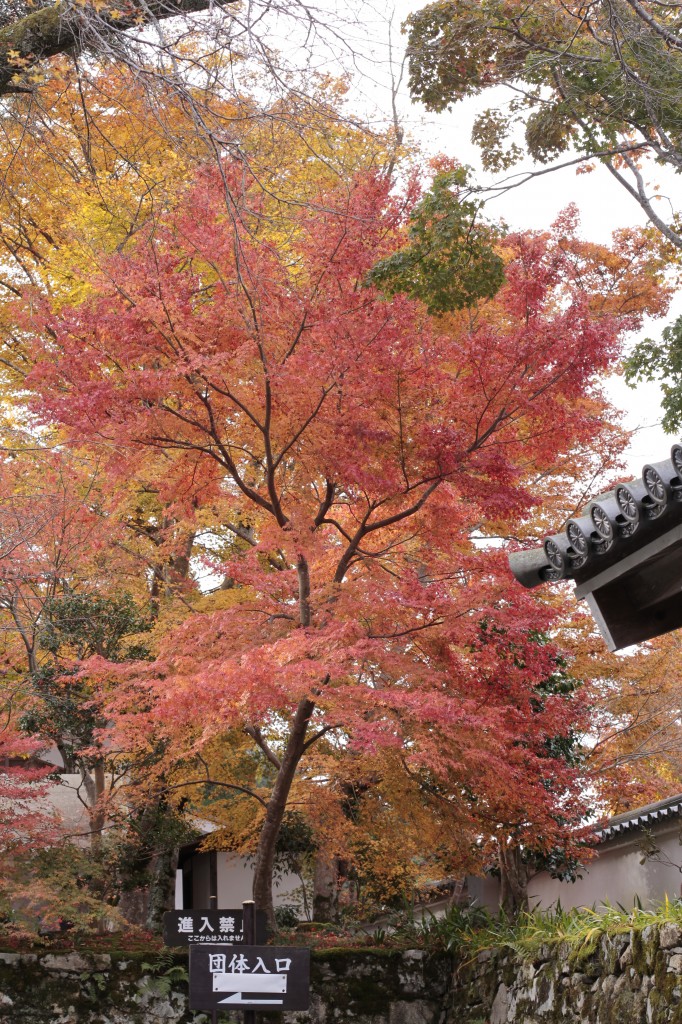 可愛いお地蔵様