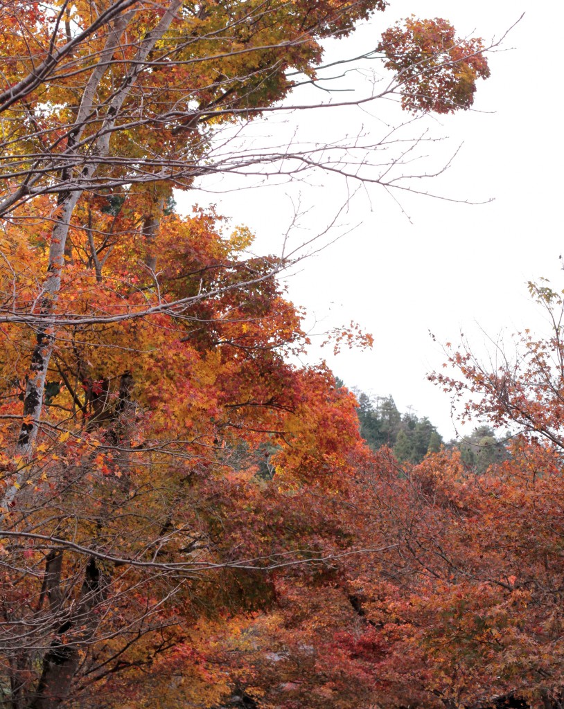 可愛いお地蔵様2