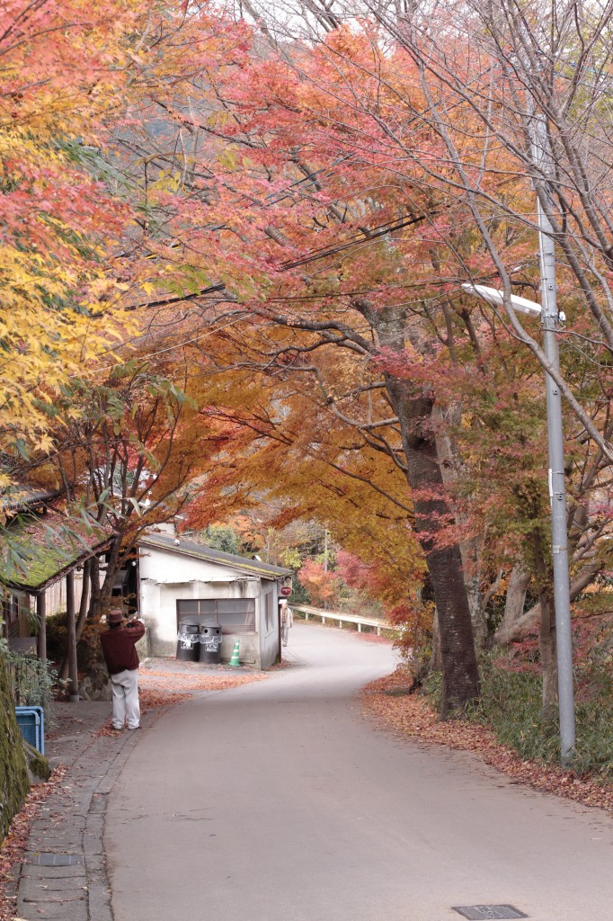 三千院の紅葉2