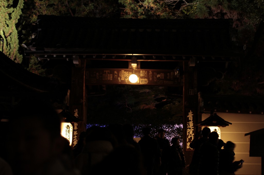 知恩院ライトアップ3