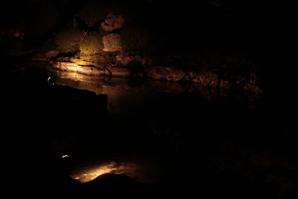 池のライトアップ3