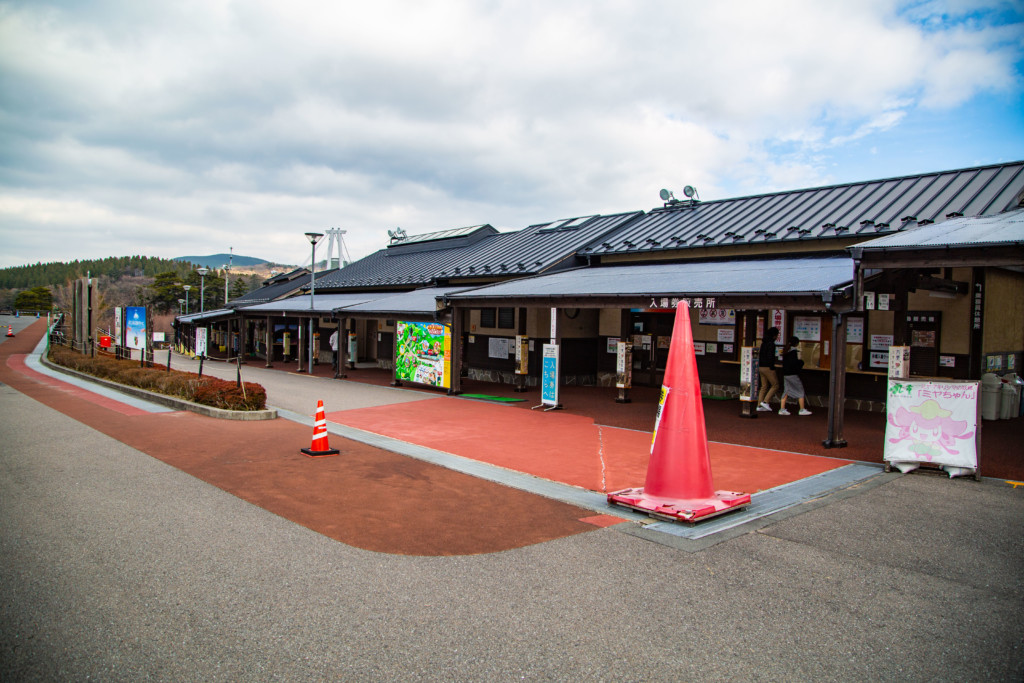 九重“夢”大吊橋の入場券とパンフレット