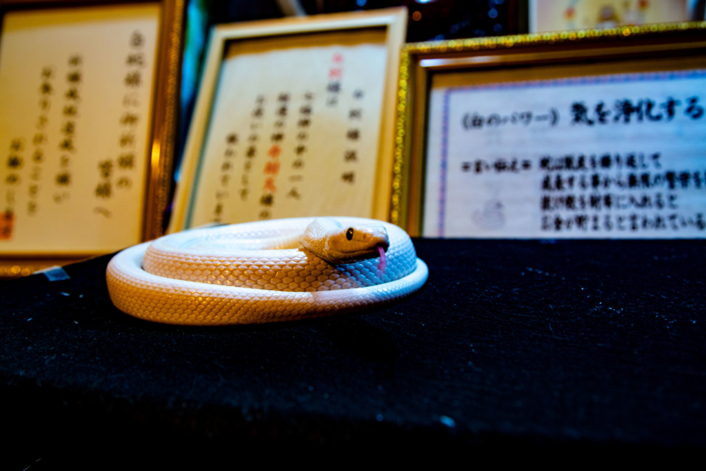 白蛇に触れる体験