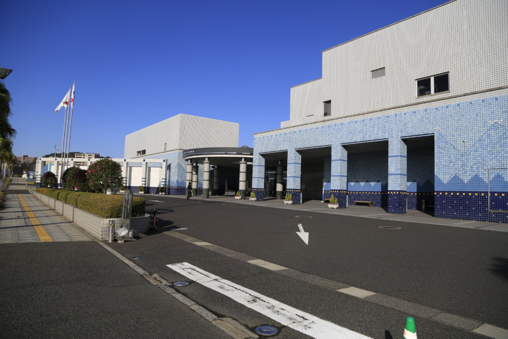 鹿児島水族館外の水路を泳ぐイルカ1