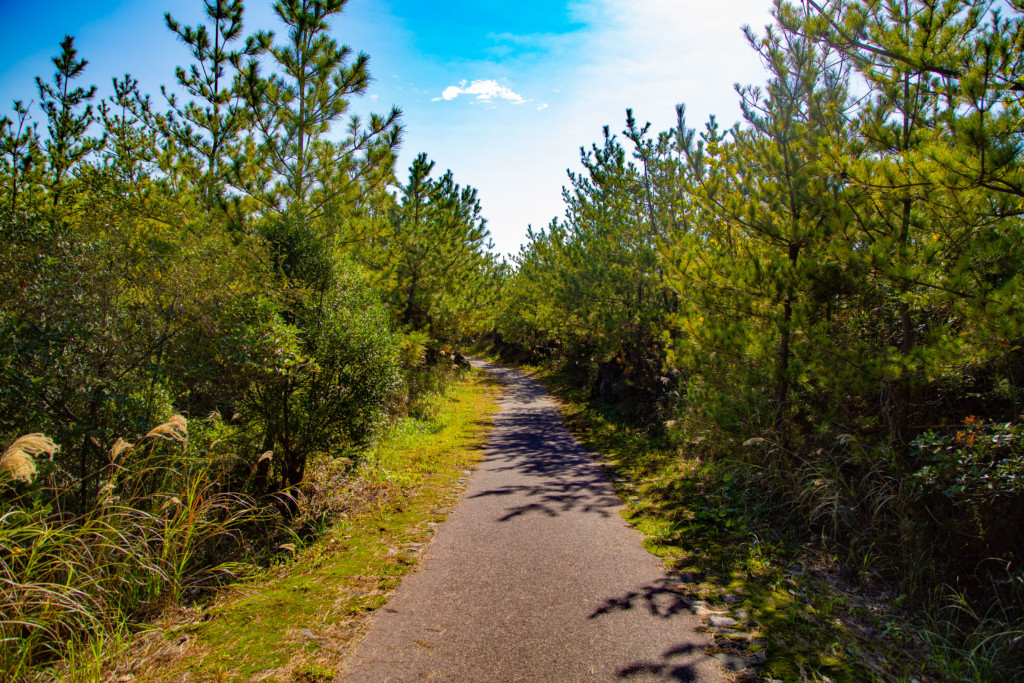 溶岩なぎさ遊歩道の風景3
