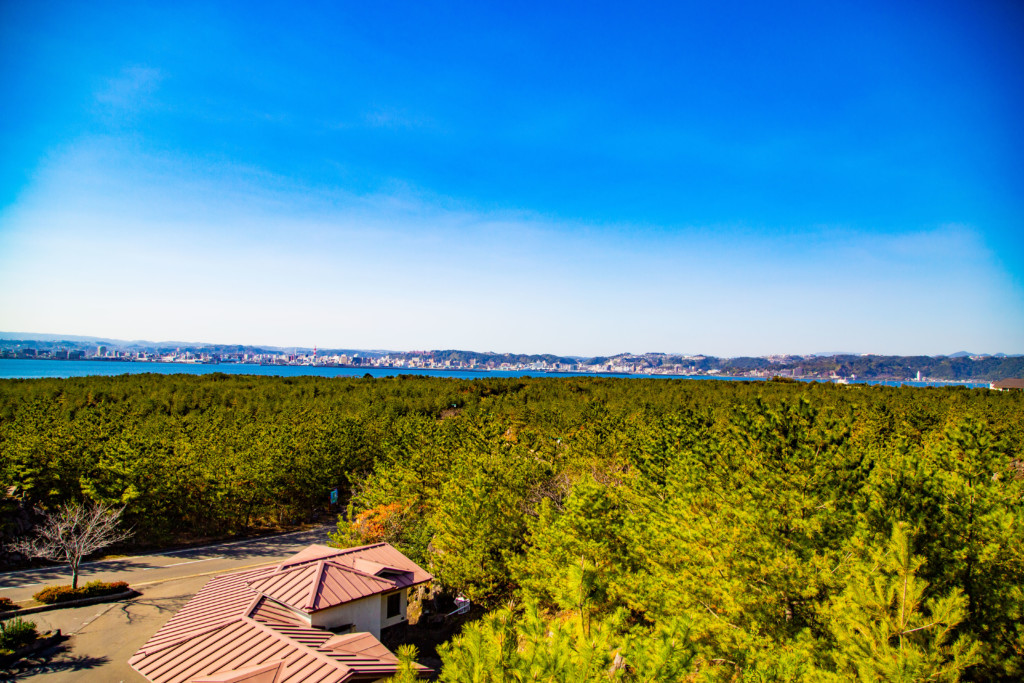 鳥島展望所の風景2