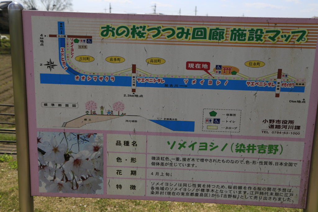 おの桜づつみ回廊の施設マップ