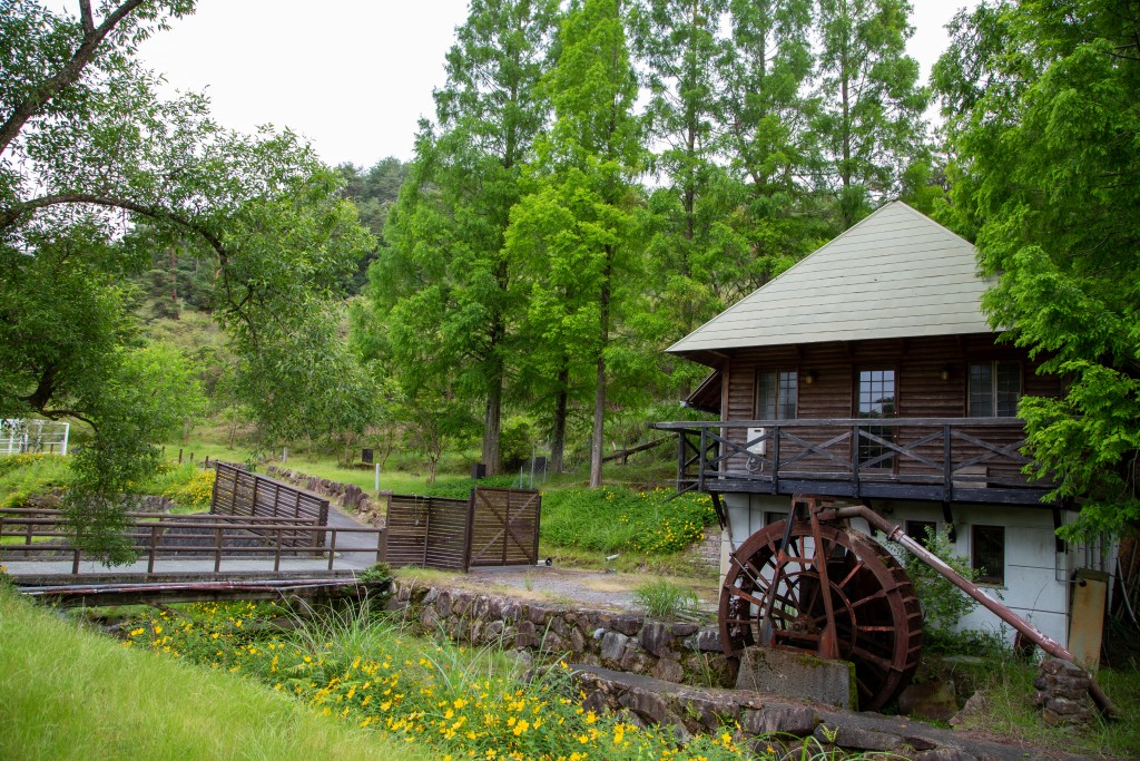 昼間のイルミネーション会場の様子4