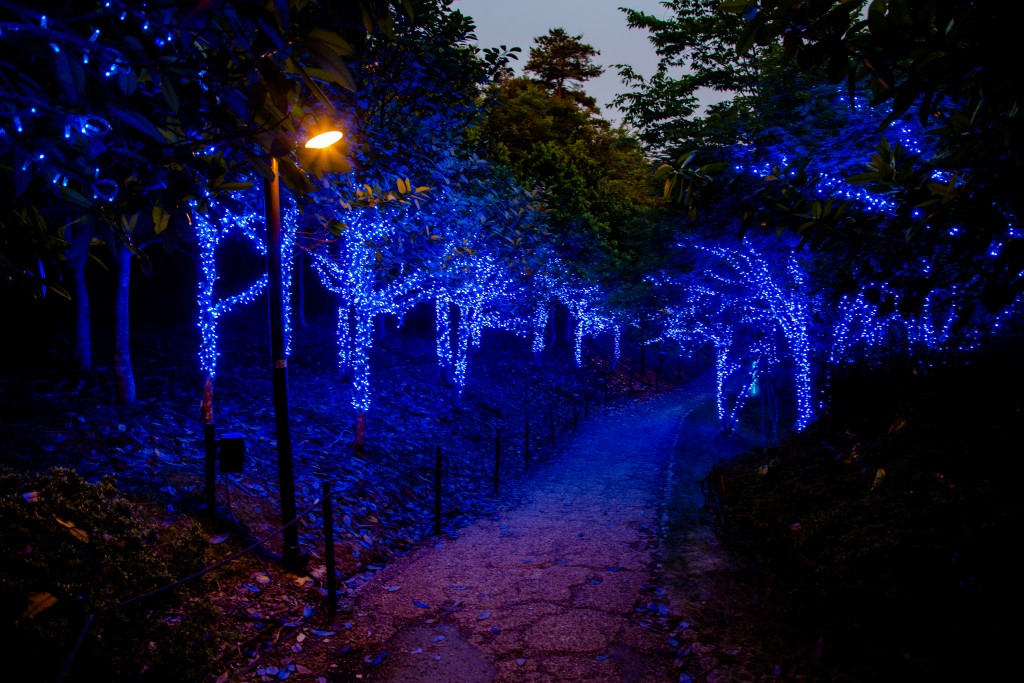 昼間のイルミネーション会場の様子3