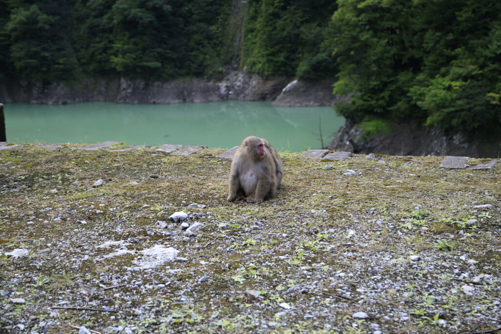 発電所付近の風景
