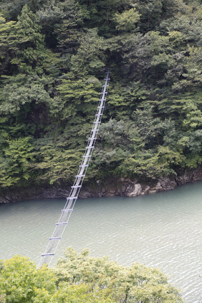 猿専用の吊り橋