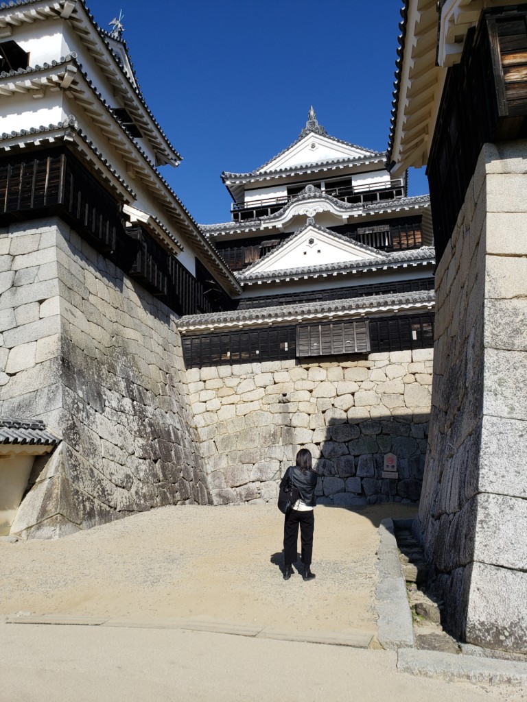 松山城 本丸からの景色