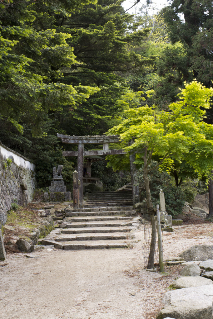 弥山登山の道中2