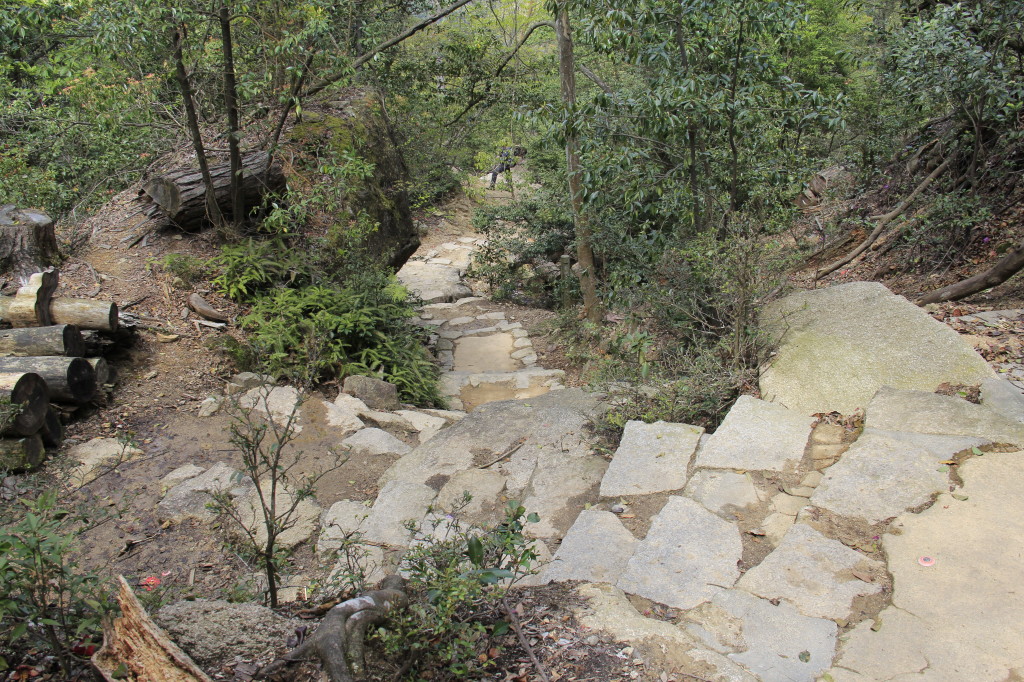 紅葉谷ルートの下山道1