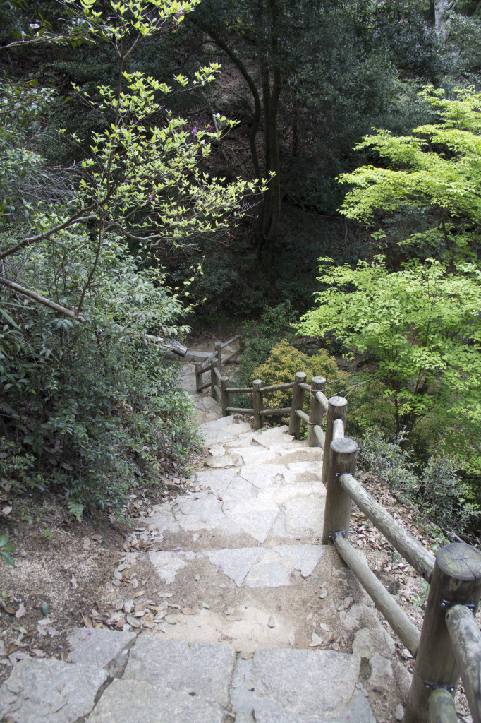 紅葉谷ルートの下山道2