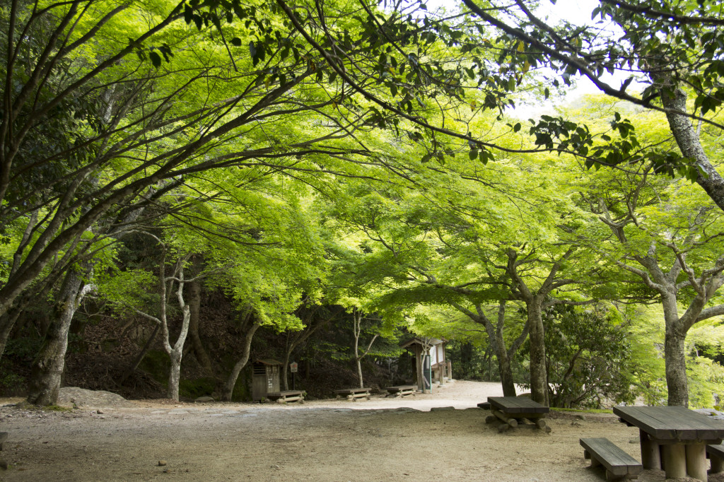 紅葉谷公園の風景1