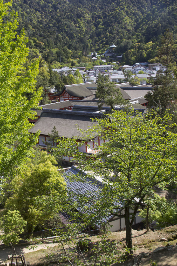 千畳閣から見える風景
