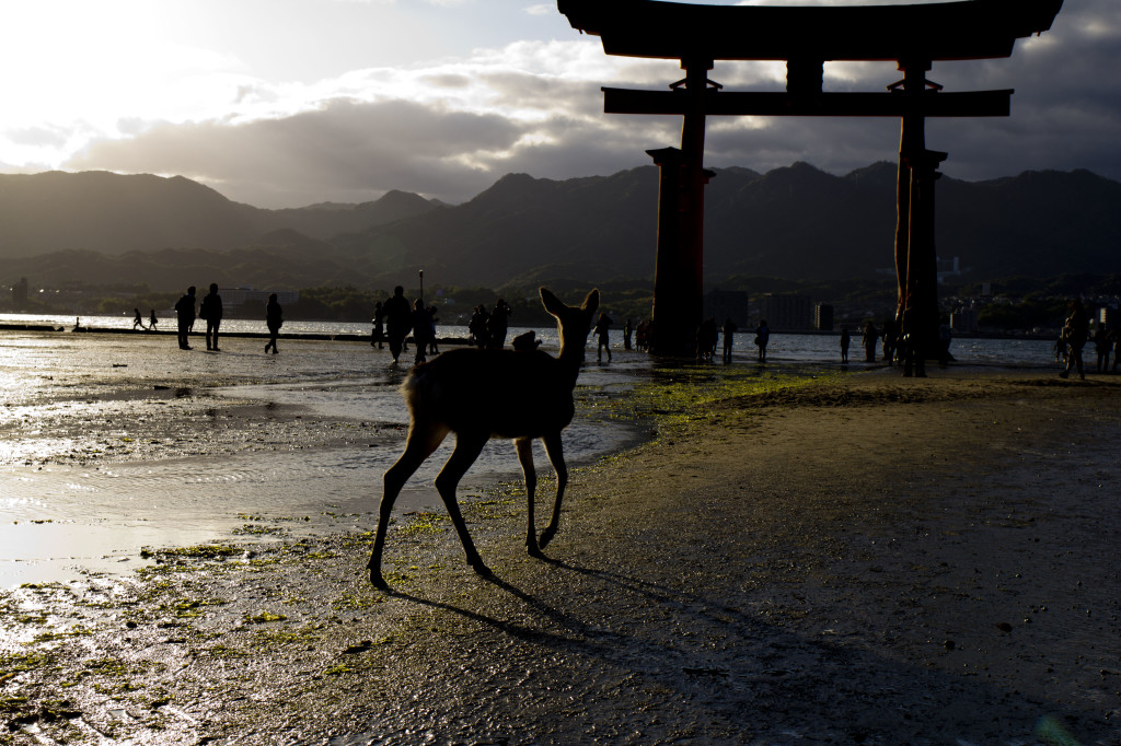 干潮時の大鳥居の足元