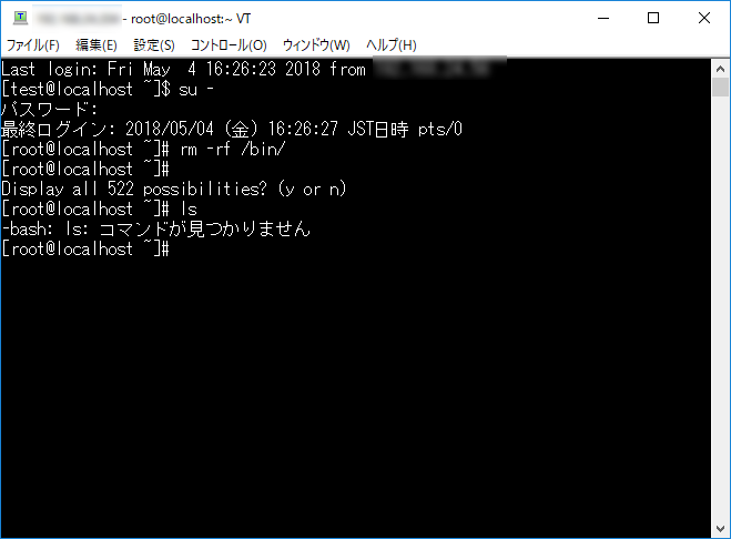 rm -rf /bin を実行する様子