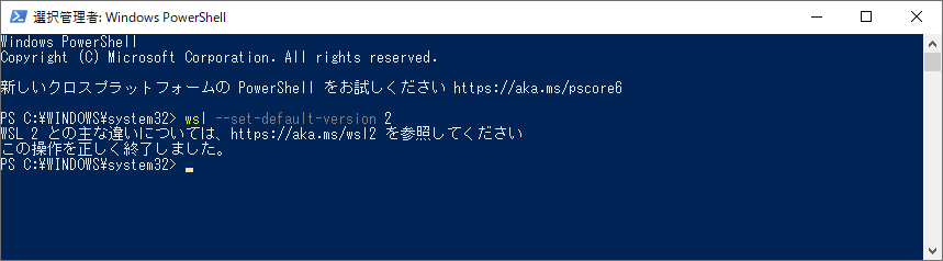デフォルトバージョン設定の実行画面