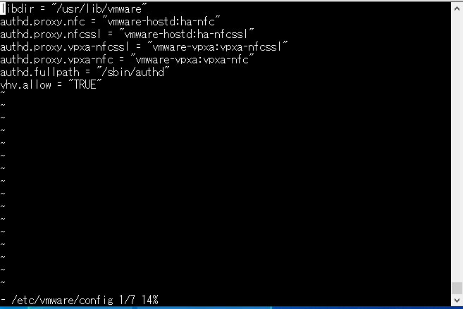 ESXi SSHでのconfig編集画面